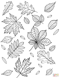 Fall coloring pages are a fun way for kids of all ages, adults to develop creativity, concentration, fine motor skills, and color recognition. 15 Printable Fall Leaves Coloring Pages Happier Human
