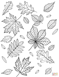 Steve nix is a member of the society of american foresters and a former forest resources analyst. 15 Printable Fall Leaves Coloring Pages Happier Human