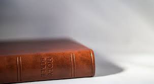 25 teks doa dasar katolik terlengkap, umat katolik selalu berpegang teguh akan cinta dan kasih tuhan yesus kristus dan bunda maria dalam kehidupan . Bacaan Dan Renungan Harian Katolik Kamis 30 Desember 2021 Lengkap Dengan Doa Ayo Bandung