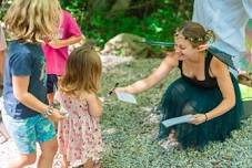 Fairies in the Forest
