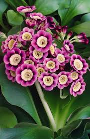 We did not find results for: 12 Best Plants And Flowers For Winter Gardens