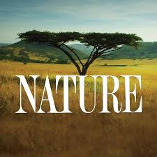 Image result for nature