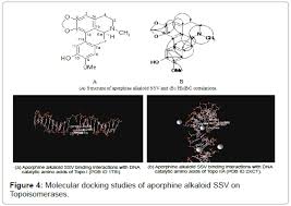 Check spelling or type a new query. Isolation And Identification Of A Novel Aporphine Alkaloid Ssv An Antitumor Antibiotic From Fermented Broth Of Marine Associated Streptomyces Sp Ks1908