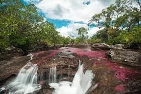 Quienes deseen volver a ver este espacio turístico pueden ingresar en el horario de 7:00 a.m. Die 5 Besten Cano Cristales Touren 2021