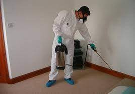 Living on the gulf coast is very nice, and the pests love it too. Bug Pro Pest Control Fairbanks Ak 99707 Yp Com