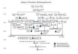 Why The Fugate Family Are Literally The Blue People Of Kentucky The blue people were a secret to the outside world until two. blue people of kentucky