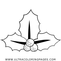These mistletoe coloring pages for kids are great when kids are learning about various christmas plants. Mistletoe Coloring Page Ultra Coloring Pages