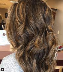 This is a great choice for hair highlights for light brown hair. 18 Honey Highlights Ideas You Should Check