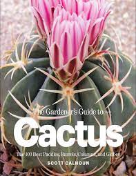 A huge thanks to all who came to heavy metal horns back at the cabot show friday night. The Gardener S Guide To Cactus Gnv64 By Martin Julia Issuu