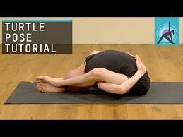 Turtle Pose Explained Yoga With Olav Aarts Youtube Free Yoga Videos Yoga Poses Yoga Asanas
