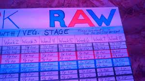 Raw By Npk Industries Feeding Chart For Veg And Bloom Youtube
