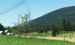 Elevation Of Grandview Bench Rd Salmon Arm Bc V1e 2y1 Canada Topographic Map Altitude Map