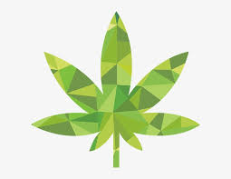 Download Whats Is The Difference Hemp Svg Marijuana Leaf Transparent Png 600x555 Free Download On Nicepng