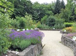Showing all works by author. Botanischer Garten Frankfurt Outdoor Outdoor Decor Sidewalk