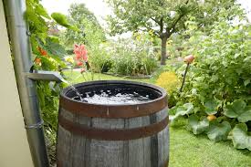 Wassertonnen dienen dazu, regenwasser zum bewässern des gartens aufzufangen. Regenwasser Im Garten Nutzen