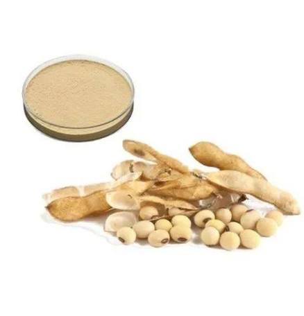 Jiya Nutraherbs Soy Isoflavones Powder Extract, Packaging Type : Packet at Rs 3250 in Valsad