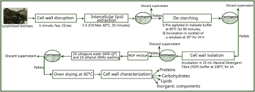 We did not find results for: Detailed Biochemical And Morphologic Characteristics Of The Green Microalga Neochloris Oleoabundans Cell Wall Sciencedirect