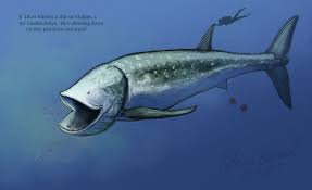 The secret to the large size of leedsichthys is probably down to its lifestyle as a filter feeder. Critter Of The Week Leedsichthys Pete S Paleo Petshop