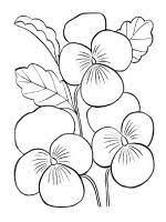 Violet Coloring Pages Download And Print Violet Coloring Pages Printable Flower Coloring Pages Flower Coloring Sheets Coloring Pictures