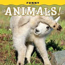 Some of the most funniest and hilarious animals pictures with captions are listed below …. Funny Animals Steph Lehmann 9781560377306 Amazon Com Books