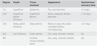 Anesthetic Management Of The Burn Patient Chapter 19