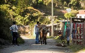 Jun 09, 2021 · el nuevo reporte de casos de contagiados de coronavirus en el país ya fue emitido por el ministerio de salud. Kd6ssp1tlgnv8m