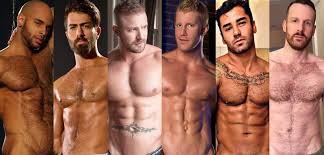 Image result for porn star