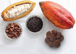From Cacao Pod To Drinking Chocolate Discs Going Counterclockwise A Whole Cacao Pod An Open Cacao Pod Before Chocolate Drinks Fermented Cacao Cacao Beans