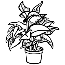 Embed this art into your website clipart tomatoes. Tomatoes Clipart Black And White Tomatoes Black And White Transparent Free For Download On Webstockreview 2021