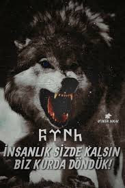 Insanligin Civisi Cikinca Askeri Tarih Savascilar Asker Ask