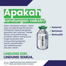 Pembentukan antibodi akan meningkat secara mendadak Vaksin Covid 19 Ø¹ÙÙ ØªÙÙØªØ± Bahan Dalam Vaksin Telah Terbukti Selamat Untuk Digunakan Contoh Adjuvan Seperti Aluminium Yang Ditambah Adalah Penting Untuk Keberkesanan Vaksin Tetapi Kuantitinya Sangat Kecil Dan Tiada Kesan Sampingannya