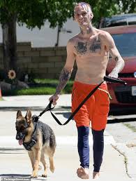 Aaron carter took to instagram and said he's enjoying vacation time. Aaron Carter Zeigt Seine Neue Zopfe Und Seine Tatted Vr Als Er Nimmt Hund Zelda Fur Einen Spaziergang In La Aktuelle Boulevard Nachrichten Und Fotogalerien Zu Stars Sternchen