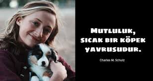 Kopek Alintilari Ve Sadakat Sozleri