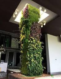Jardines Verticales Vertical Garden Vertical Garden Wall Plants