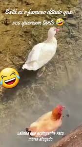 Os vídeos de Meyre MendOnça (@meyre_mendonca) com som original - Dany Batista | TikTok