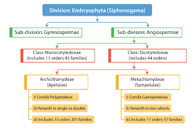 Maybe you would like to learn more about one of these? Plant Taxonomy Taxonomy And Systematics List Of Systems Importance