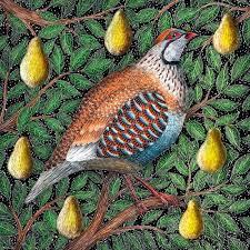 Partridge in a pear tree. Museums And Galleries Partridge In A Pear Tree Pack Of 8 Charity Christmas Cards