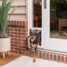 We love some of the creative projects that people come up with, and. Petsafe Sliding Glass Cat And Dog Door Insert Great For Rentals And Apartments Small Medium Large Pets No Cutting Diy Installation Buy Online In Bahamas At Bahamas Desertcart Com Productid 21826076