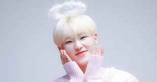 Other names ほし hoshi hoshi_(hoshi_san_3). Seventeen S Hoshi Spills Tmi About His Birth As A Giant Headed Baby Koreaboo