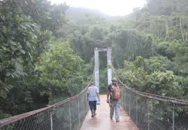 Nuestra selva tropical es ideal para practicar senderismo y observación de aves. Visit Santa Fe Panama Camara De Turismo De Santa Fe Veraguas