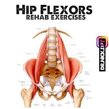 Pin On Daily Must Do Excersises