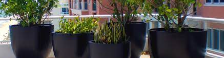 Desk plants, wall plants, grc pots, plant filled breakout spaces and more all help to boost productivity. The Pros And Cons Of Fiberglass Planters Newpro Blog