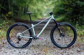 Image result for Orbea knobelii