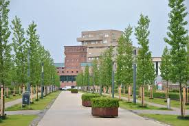 Man kann natürlich auch im deutschen grenzbereich eine wohnung suchen. Roombeek Enschede
