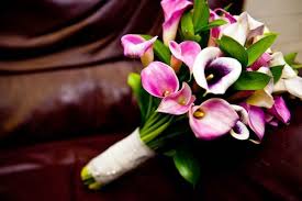 We did not find results for: Pink Flowers Inspiration Orchid Calla Lillies Wedding Bouquets Ideas Flowers Tn Leading Flowers Magazine Daily Beautiful Flowers For All Occasions