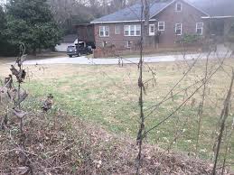 File Jan 03, 6 50 27 AM