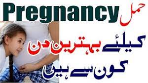 After all, making babies comes as naturally to all living beings as. How To Get Pregnancy Fast Tips In Urdu Jaldi Pregnant Krne Ka Tarika Ø¬Ù„Ø¯ÛŒ Ø­Ù…Ù„ Ù¹Ú¾ÛØ±Ù†Û' Ú©Ø§ ØµØ­ÛŒØ­ ÙˆÙ‚Øª Practicalparentinghelp Com