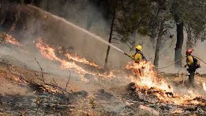 Search by zip code for hotels near carmel valley california. New Evacuations In Carmel Valley Due To Soberanes Fire