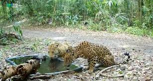 Reinya3_ Onlyfans - experience the real her sex videos