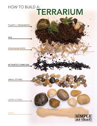 Learn How To Build An Indoor Terrarium On Simple As That With Host Andrea Keesee Succulent Terrarium Plants Terrarium Plants